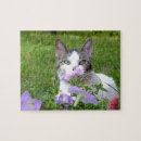 Search for tabby cat puzzles Pink