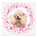 Search for poodles art For pets