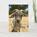 Search for goat cards Over the hill