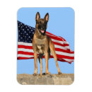 Search for dog obedience magnets Dogs