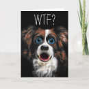 Search for border collie funny dog birthday cards Dogs