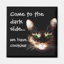 Search for best side magnets Cat