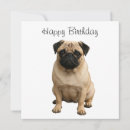 Search for happy occasion cards Dog
