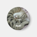 Search for sleeping cat magnets Cute
