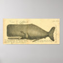 Search for vintage whale posters Marine