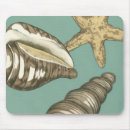 Search for conch electronics Megan meagher