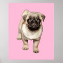 Search for lovable posters Cute