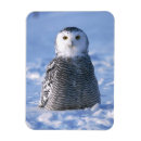 Search for refrigerator cards Cute