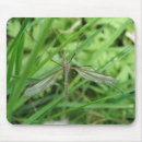 Search for flying bugs mouse mats Insects