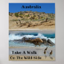 Search for emu posters Australian