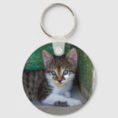 Search for sweet cat key rings Kitty