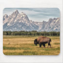 Search for tetons electronics United states