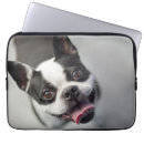 Search for getty electronics Puppies