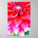 Search for bright flowers posters Summer