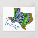 Search for state flower postcards Texas