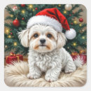 Search for maltese dog stickers Canine