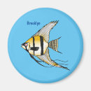 Search for angelfish Tropical fish