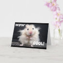 Search for hamster photography Friend
