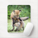 Search for kits mouse mats Animals in the wild