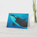 Search for orca killer whale cards Dolphin
