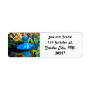 Search for film return address labels Photography