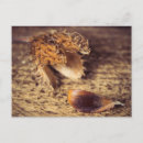 Search for baum postcards Natur