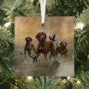 Search for vizsla christmas tree decorations Hunting