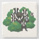 Search for badger coasters Animals