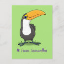 Search for toucan postcards Cartoon