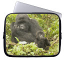 Search for joe mcdonald cases Wildlife