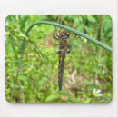 Search for damselflies mouse mats Animal
