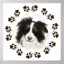 Search for collie pet posters Watercolor