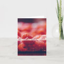 Search for raspberry photography Fruit