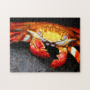 Search for marine life puzzles Animal