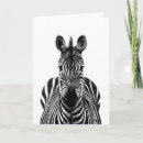 Search for backs cards Photography