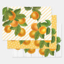 Search for oranges wrapping paper Botanical
