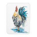 Search for roosters magnets Farm