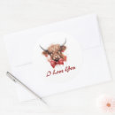Search for highland cattle stickers Calf