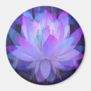 Search for lotus magnets Blue