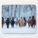 Search for loony mouse mats Hideout ranch