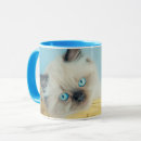 Search for himalayan cat mugs Kitten