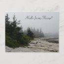Search for shorelines postcards New england