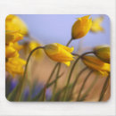 Search for marion mouse mats Nobody