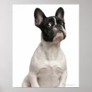 Search for 5 months posters Sitting