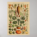 Search for vintage french kitchen posters Vegetables