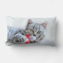 Search for grey tabby cat cushions Kitty