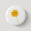 Search for daisy badges Botanical