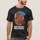 Search for red rocks Amphitheater