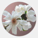 Search for red graduation stickers Blue