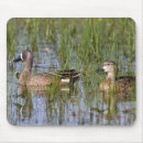 Search for anas mouse mats Superstock